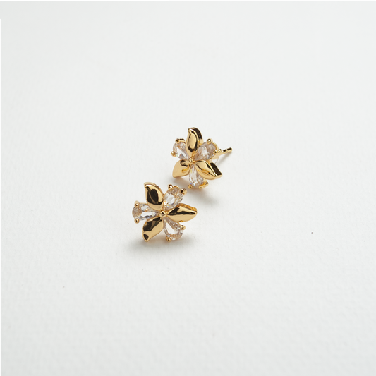 Lumi Zircon & Gold Studs